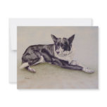 Welsh Collie invitations