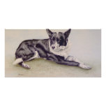Welsh Collie photo cards
