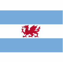 Welsh Colony In Patagonia, Argentina flag Acrylic Cut Out