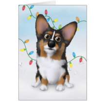Welsh Corgi 2 Christmas Card
