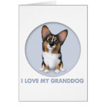 Welsh Corgi 2 Granddog cards