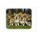 Welsh Corgi (Pembroke) business cards