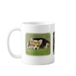 Welsh Corgi (Pembroke) mugs