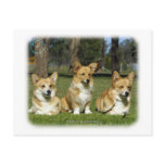 Welsh Corgi (Pembroke) postcards