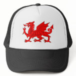 Welsh Dragon hats