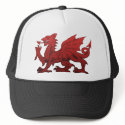 Welsh Dragon hats