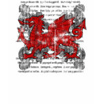 Welsh Dragon Kids' Dark Shirt