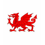 Welsh Dragon t-shirts