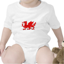Welsh Dragon Tshirts