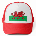 Welsh Flag Mesh Hat