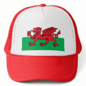 Welsh Flag hats