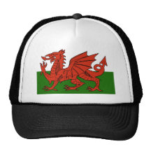 Welsh Flag Mesh Hats