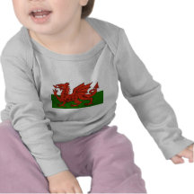 Welsh Flag T-shirts