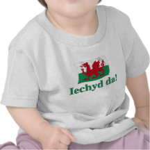 Welsh Iechyd da (Cheers!) T Shirt