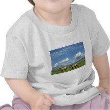 Welsh Lambs Tee Shirt