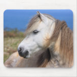 Welsh Pony Mousepads