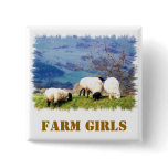 WELSH SHEEP buttons