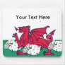 welsh sheep