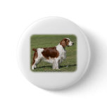 Welsh Springer Spaniel 9Y394D-041 buttons