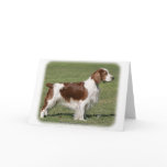 Welsh Springer Spaniel 9Y394D-041 cards