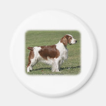 Welsh Springer Spaniel 9Y394D-041 Magnet