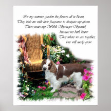 Welsh Springer Spaniel Art Print