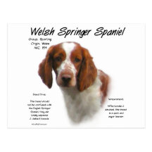 Welsh Springer Spaniel History Design Post Card