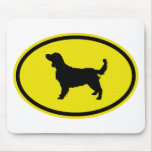 Welsh Springer Spaniel mousepads