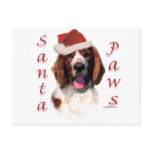Welsh Springer Spaniel Santa Paws postcards