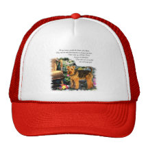 Welsh Terrier Art Gifts Mesh Hats