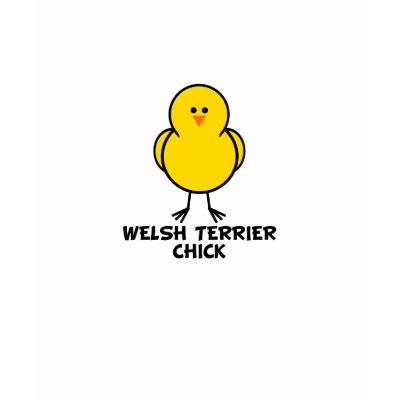 Welsh Terrier Chick Tshirts by chicktshirts8