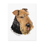 Welsh Terrier Portrait Post Cards