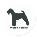 Welsh Terrier