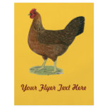Welsummer Hen flyers