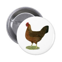 Welsummer Hen Pins