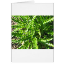 Welted Thistle Greeting Card