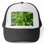 Welted Thistle Hat