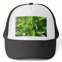 Welted Thistle Hat