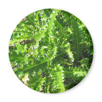 Welted Thistle Refrigerator Magnets