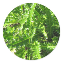 Welted Thistle Round Sticker