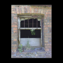 Wenallt Ruin [postcard]