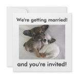 We're getting married!, and you're invited! invitations