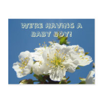 We're Having a Baby Boy! Announcement Invites