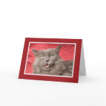 We're Purrfect for Eachother - Customised cards