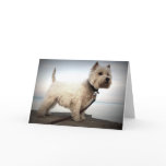 West Highland Terrier Card