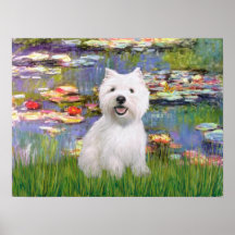 West Highland Terrier - Llilies 2 Print