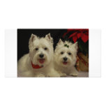 West Highland Terrier photo cards