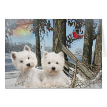 West Highland Terrier winter day Greeting Cards