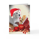 West Highland Terrier with Santa's Treats cards