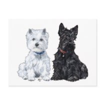 West Highland White & Scottish Terriers Post Cards